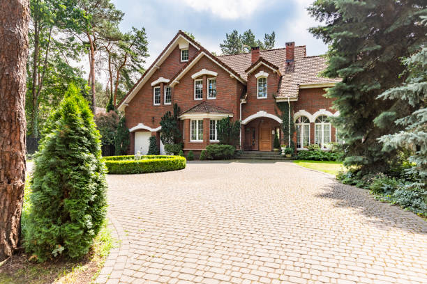 Best Best Driveway Pavers  in Moriarty, NM