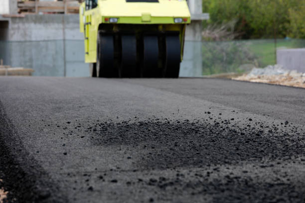 Best Residential Paver Driveway  in Moriarty, NM