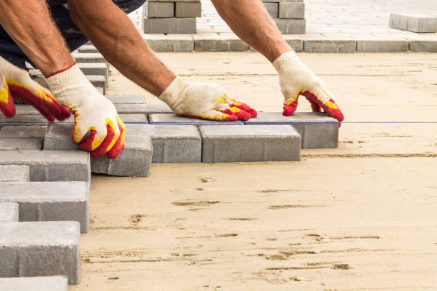 Best Driveway Paving Contractor  in Moriarty, NM