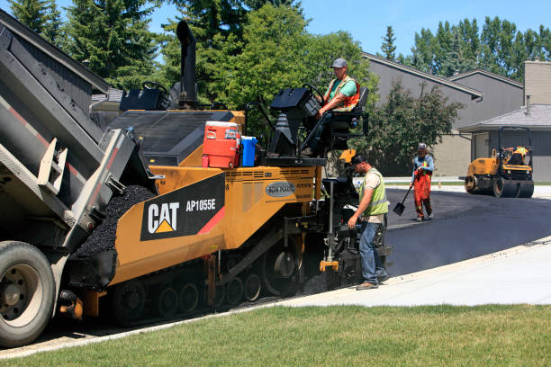 Best Driveway Repair Near Me  in Moriarty, NM